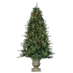 6 ft. Pre-Lit Artificial Alberta Spruce Christmas Tree with Clear Lights