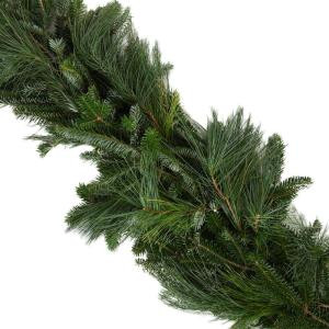 25 ft. Fresh Festive Fraser-Pine Holiday Garland