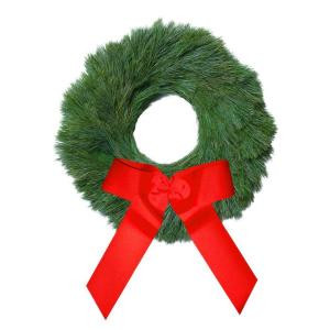 24 in. Fresh Classic White Pine Holiday Wreath