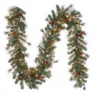 9 ft. Pre-Lit Alexander Fir Garland With Clear Lights and Pinecones