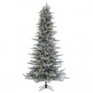 6 ft. Pre-Lit Lightly Flocked Layered Hard Needle Ashton Pine Artificial Christmas Tree with Pinecones