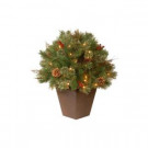 24 in. Glistening Artificial Christmas Pine Topiary Bush with 50 Clear Lights