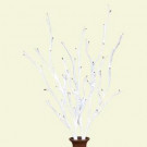 39 in. Battery Operated Snowy White Lighted Branches with Timer, 2 Branches