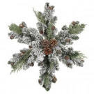 24 in. Flocked Pinecone and Fern Snowflake