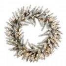 30 in. Pre-Lit Snowy Fir Wreath with Snowy Cones and Clear Lights