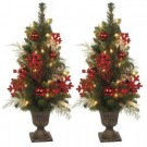 2.5 ft. Pre-Lit Potted Artificial Christmas Tree with Red Glitter Snowflakes and Clear Lights (Set of 2)
