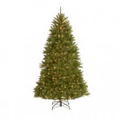 9 ft. Royal Douglas Fir Hinged Tree with 700 Dual LED Lights and Plastic Caps