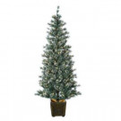 6 ft. Frosted Artificial Franklin Spruce Christmas Tree with Clear Lights