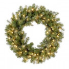 30 in. Feel-Real Down Swept Douglas Fir Artificial Wreath with 100 Clear Lights
