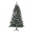 7 ft. Pre-Lit Lightly Frosted Silver Crest Pine with Clear Lights