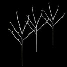 Twig Tree Warm White Pathmarkers (Set of 3)