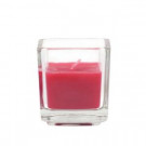2 in. Red Square Glass Votive Candles (12-Box)