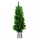 4 ft. Pre-Lit Virginia Pine Potted Artificial Christmas Tree with Clear Lights