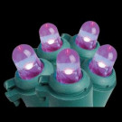100-Light LED Purple Dome Lights