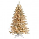 5 ft. Pre-Lit Platinum Frasier Fir Artificial Christmas Tree with Clear Lights