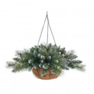 2 ft. Pre-Lit LED Hard Needle Shimmering Arctic Pine Hanging Basket with Timer