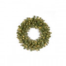 26 in. Pre-Lit LED Downswept Douglas Wreath with Clear Lights