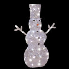 4 ft. Snowman Starry Night Crystal Clear LED Lighted