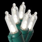 Energy Smart Colorite 100-Light LED Warm White Mini Light Set