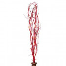39 in. Battery Operated Red Glitter Willow Lighted Branches with Timer, 5 Branches