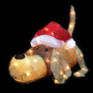 20 in. H Pre-Lit Clear Mini Lights Christmas Greeting Puppy